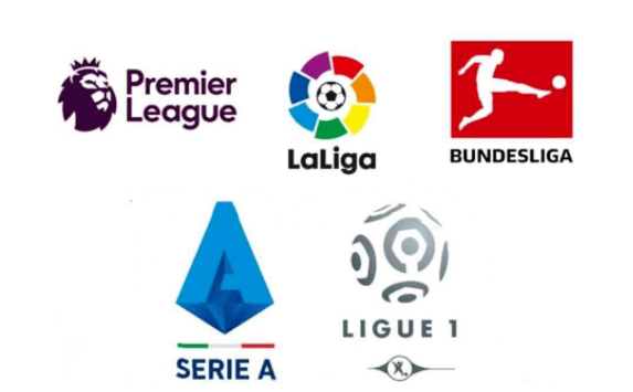 这不仅展现 这不仅展现